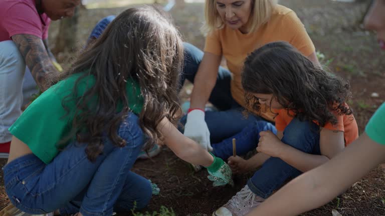 How Our Tree Care Process Works  in  Toro Canyon, CA