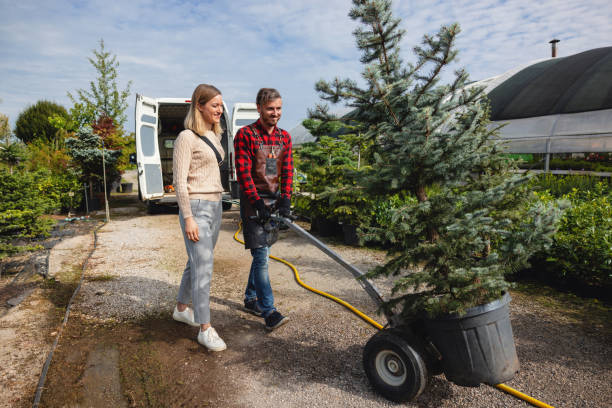 Best Tree Trimming and Pruning  in Toro Nyon, CA